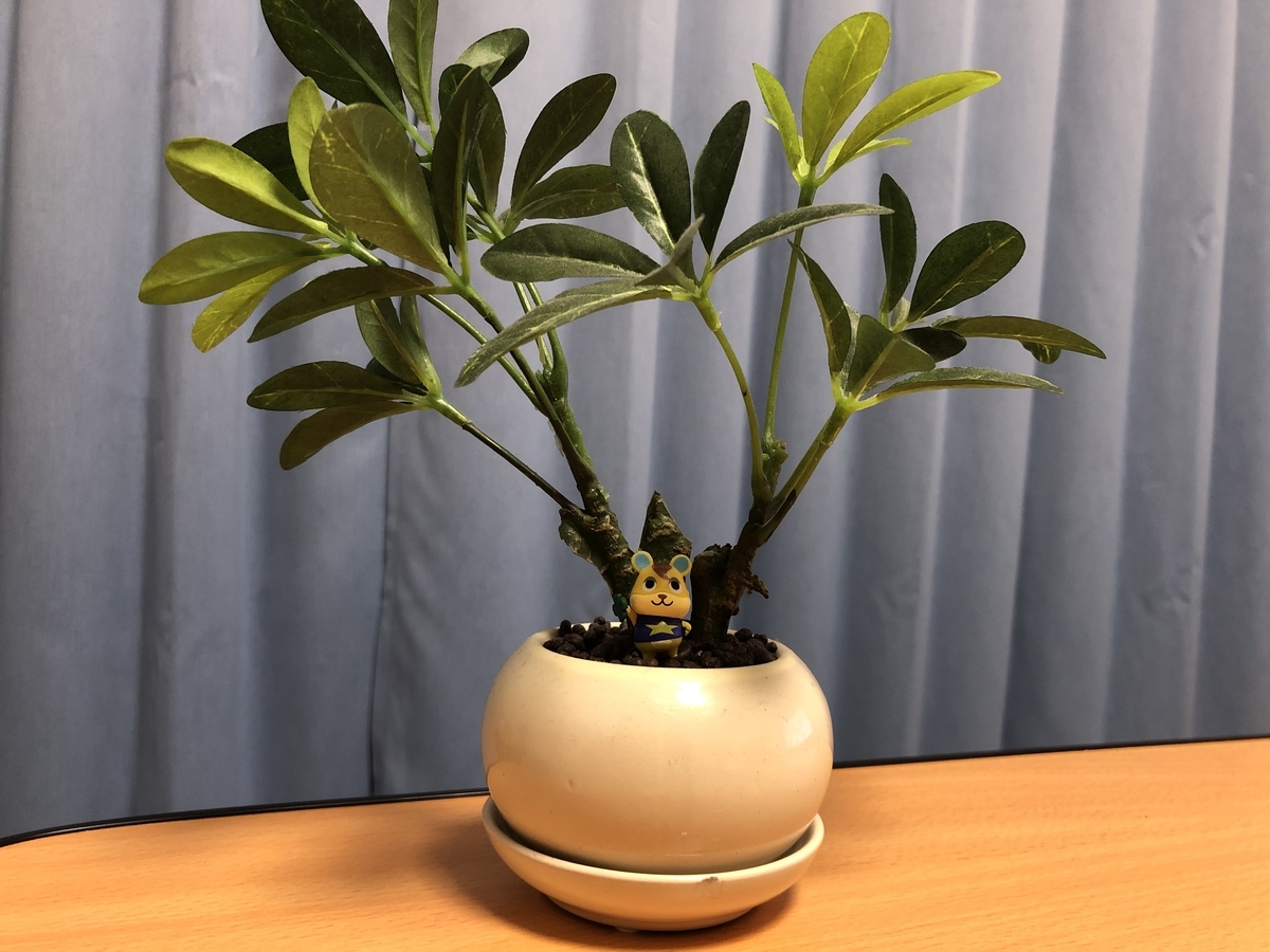 f:id:itukadarekano:20210304201929j:plain