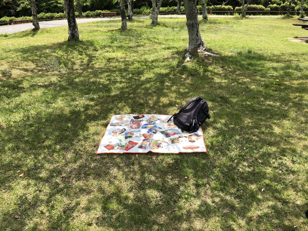 f:id:itukadarekano:20210425214551j:plain